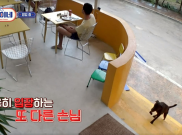 Staf 'Jinny's Kitchen' Rawat Pero si Anjing