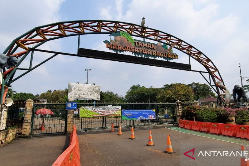 Berkunjung ke Ragunan, Pengunjung Diminta Patuhi Syarat-syarat Ini