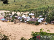 Banjir Bandang Sumatera Bawa Batang Pohon, Menhut Akui Ada Kesalahan Kelola Lingkungan