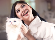 Shakirra Vier Rilis 'DM', Kisah Cinta Manis di Era Digital
