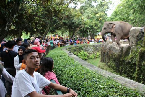 Libur Panjang, Ragunan Cuma Terima 2000 Wisatawan Per Hari