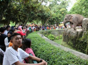 Libur Panjang, Ragunan Cuma Terima 2000 Wisatawan Per Hari