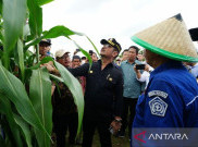 Santer Isu Reshuffle Kabinet, Dua Menteri NasDem tak Hadiri Ratas di Istana
