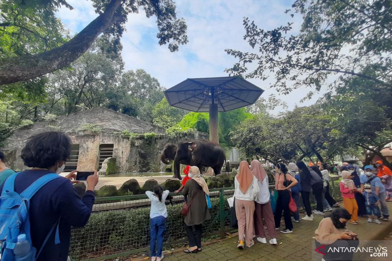 Libur Natal, 14.002 Wisatawan Kunjungi Taman Margasatwa Ragunan