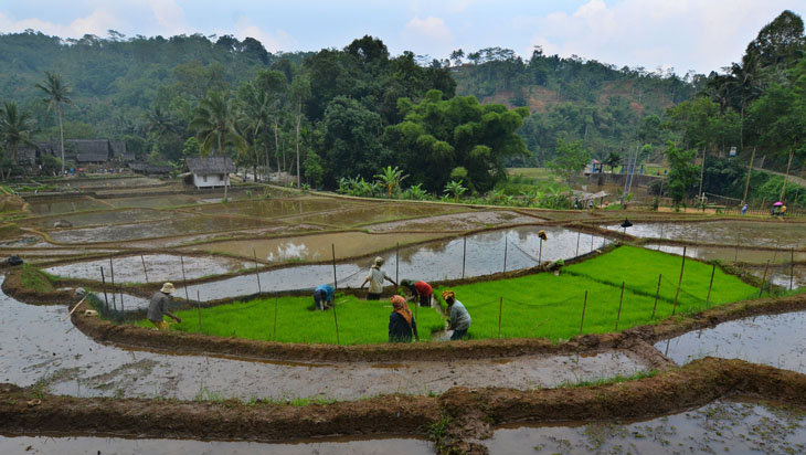 Kemendes PDTT Mencanangkan Inovasi Desa