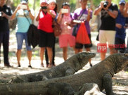 Akan Ditutup, Berikut Fakta Menarik Tentang Taman Nasional Komodo