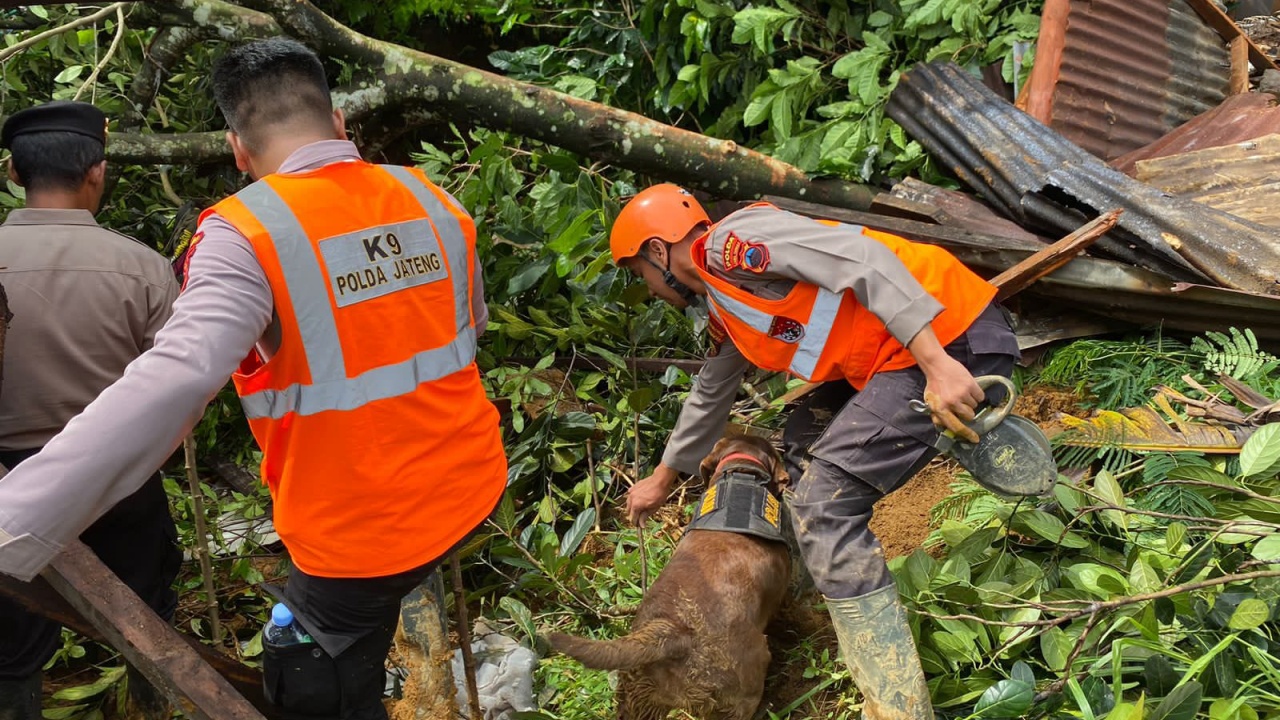 Brimob Turun Langsung Bantu Cari hingga Evakuasi Korban Tanah Longsor di Pekalongan