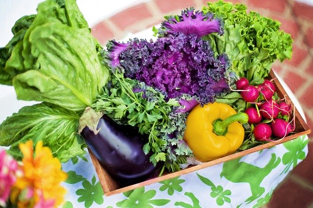 Cek ketahanan sayur (Foto: Pixabay/JillWellington)