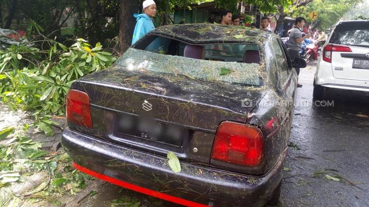 Hujan Angin di Solo, Pohon Tumbang Timpa Dua Mobil Parkir