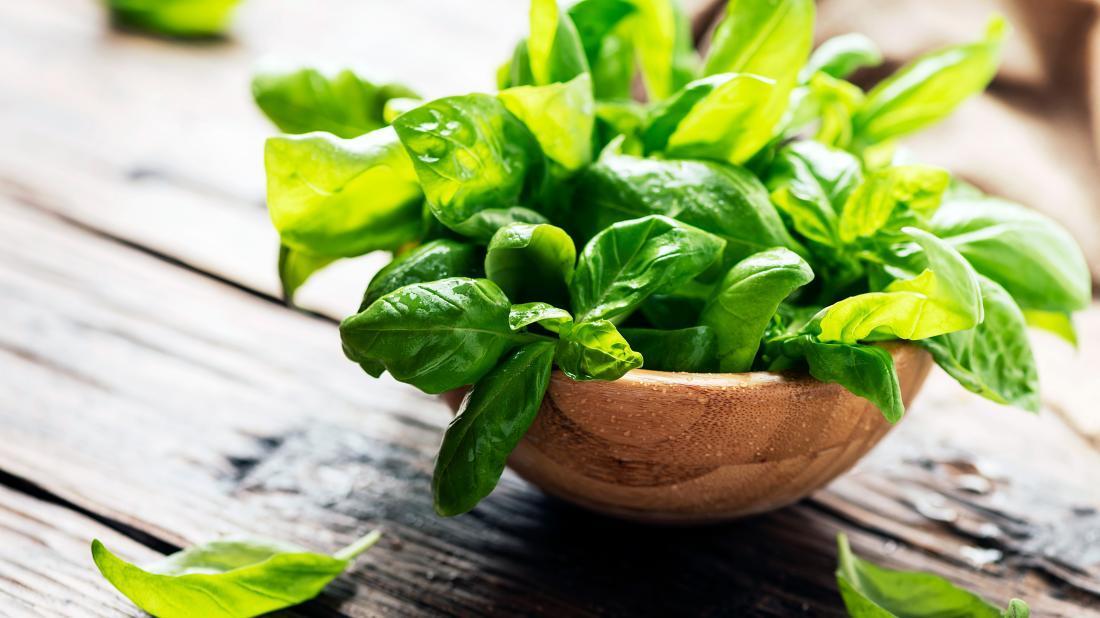 Tanaman kemangi atau basil mengandung aktivitas antiviral. (Foto: medical news today)
