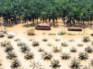 Truk BBM dan Alat Berat Bergerak ke Aceh Tamiang, Pemerintah Fokus Buka Akses Darat