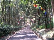 Taman Hutan Raya Juanda, Wisata Alam dekat Kota