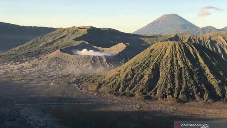 Ladang Ganja di Bromo Sesuatu yang Mengejutkan, Komisi IV DPR Segera Panggil Kemenhut