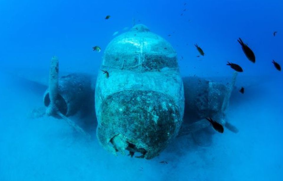 Hobi Menyelam? Lihat Taman Bawah Laut Terbesar di Dunia