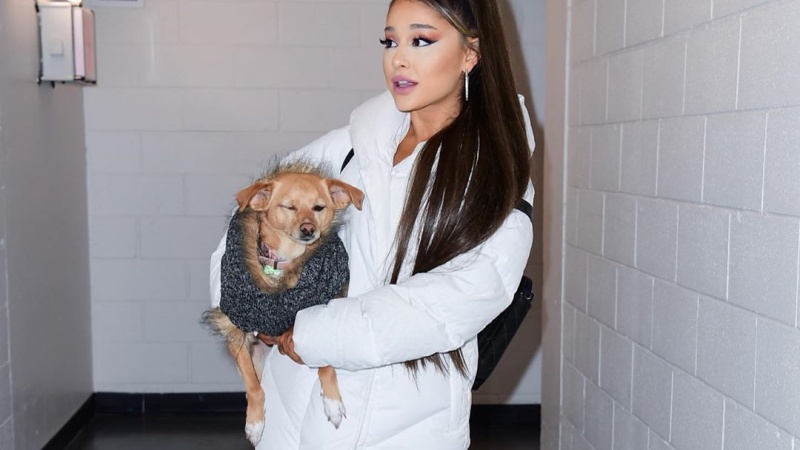 Ariana Grande Kembali Digugat Perihal Plagiarisme di Lagu '7 Rings'