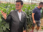 Mentan Syahrul Yasin Limpo Dikabarkan Hilang Kontak Usai Kunjungan ke Spanyol