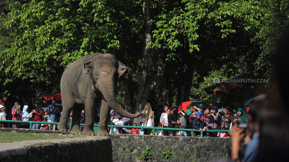 Antisipasi Puncak Libur Lebaran, Ragunan Perbanyak Toilet dan Kantong Parkir