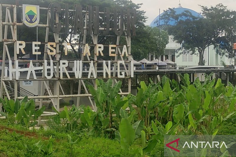 Asa Pedagang di Rest Area Bisa Dapat Untung di Mudik Lebaran 2022