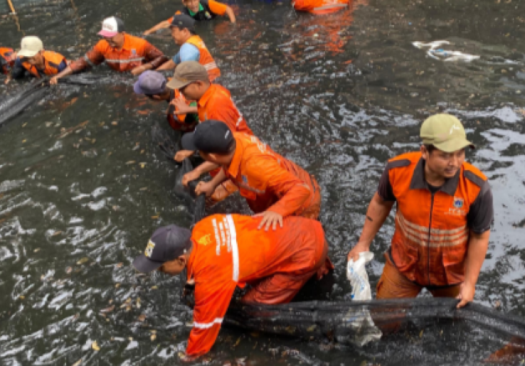 Pramono Anung Perintahkan PJLP Basmi Ikan Sapu-Sapu di Jakarta, Populasinya Mengkhawatirkan