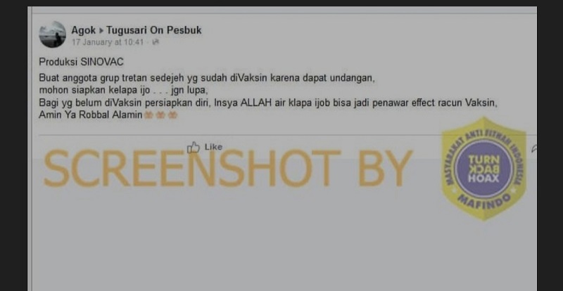 Tangkapan layar hoaks air kelapa. (Foto: Mafindo)