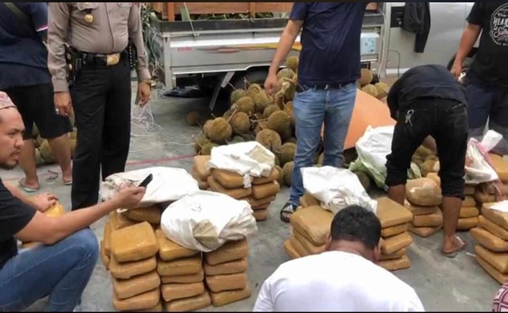 Ratusan kilogram ganja diamankan polisi dari sindikat narkoba
