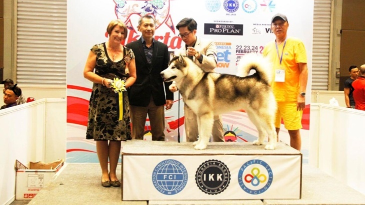 Jakarta Indonesia Pet Show 2019, Surganya Pecinta Hewan