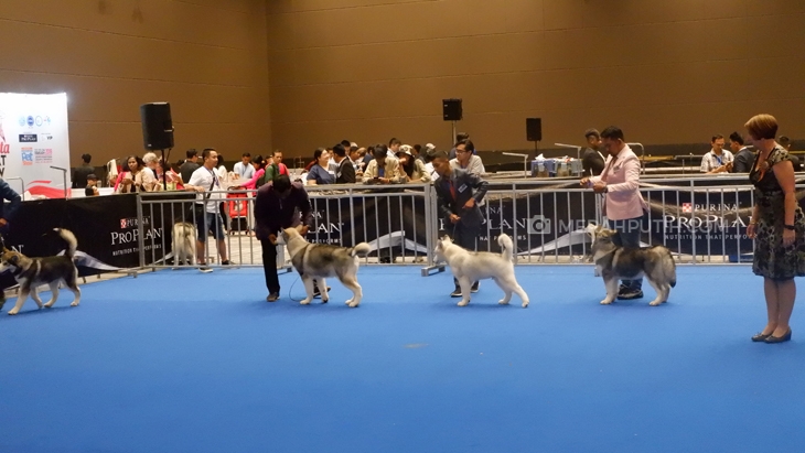 Jakarta Indonesia Pet Show 2019, Surganya Pencinta Hewan