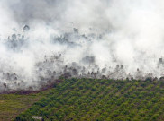 BNPB Kirim Helikopter Tanggulangi Kebakaran Hutan Riau