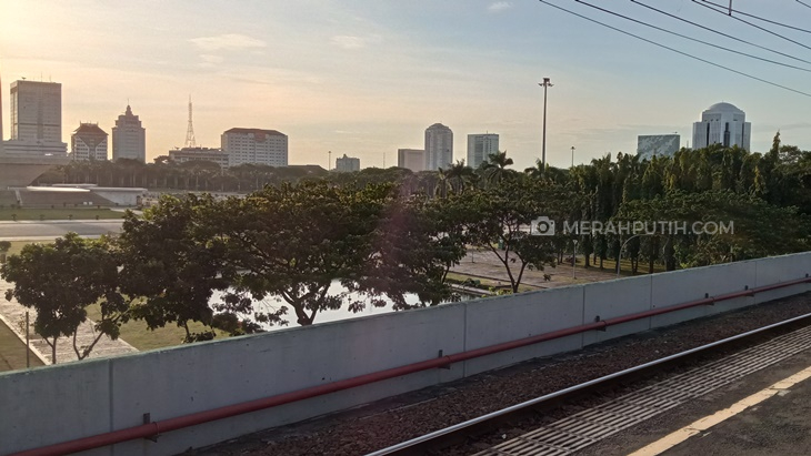 Telusur Pohon-pohon Penyerap Polusi Udara