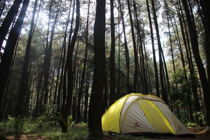 Mau Piknik di Bogor? Jangan Lupakan Tempat Ini