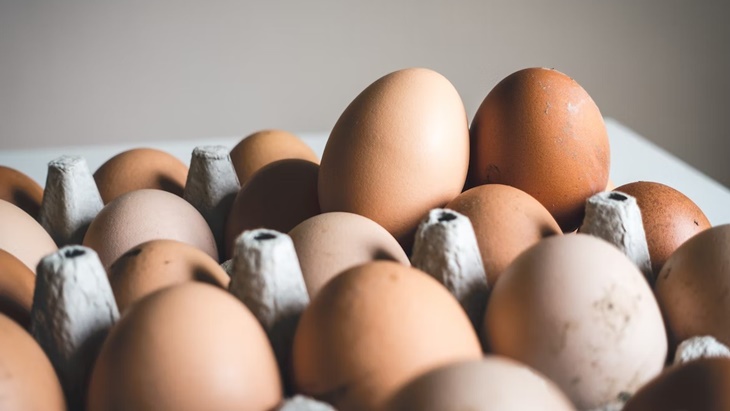 Harga Telur Naik, Saatnya Konsisten Konsumsi Protein Nabati