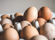 Harga Telur Naik, Saatnya Konsisten Konsumsi Protein Nabati