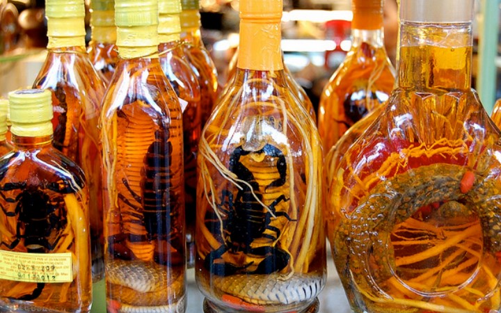 Oleh-oleh Paling Absurd dari Berbagai Dunia, Nomor 6 Paling Mencengangkan