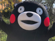 Maskot Kumamon Terima 5000 Lebih Kartu Pos