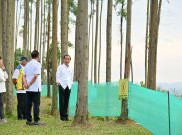 Bangun Training Center di IKN, Jokowi Optimistis Timnas Segera Mendunia