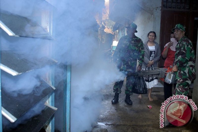 162 Kabupaten dan Kota Laporkan Peningkatan Kasus DBD