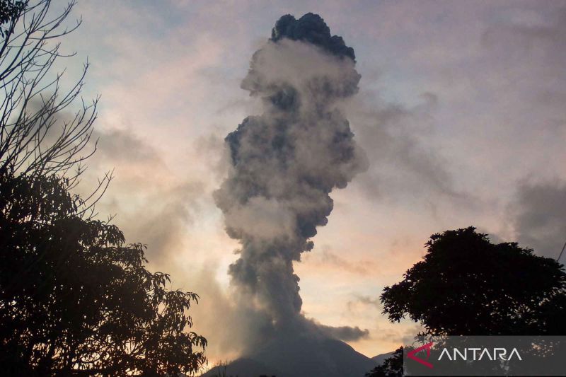 Kondisi Terkini Setelah Gunung Lewotobi Laki-Laki Erupsi, BPDB Lakukan Penyisiran Warga