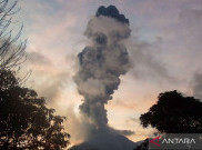 Kondisi Terkini Setelah Gunung Lewotobi Laki-Laki Erupsi, BPDB Lakukan Penyisiran Warga