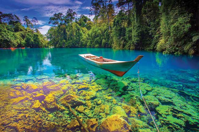 Rekomendasi Spot Snorkeling Terbaik di Kepulauan Derawan, Pelancong Wajib Mampir!