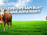 Tipe-Tipe Sapi Buat Idul Adha Nanti