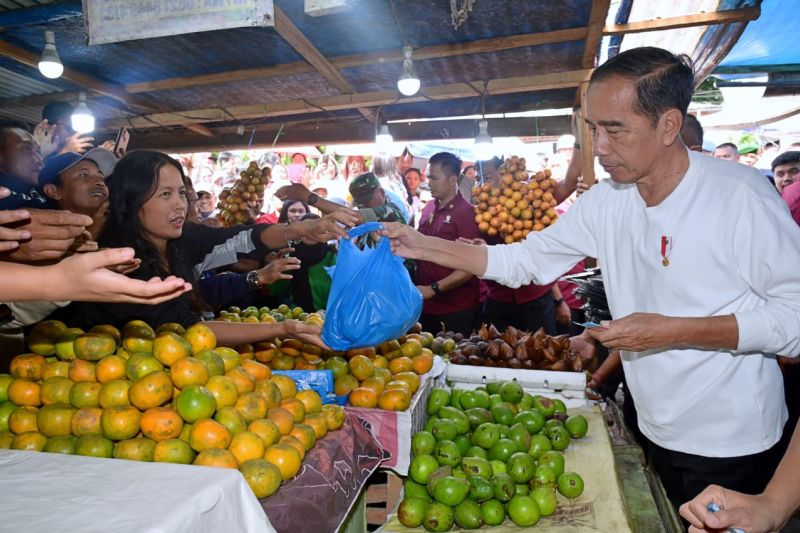 Belanja Buah dan Sayur, Jokowi Kunjungi Berastagi Kabupaten Karo