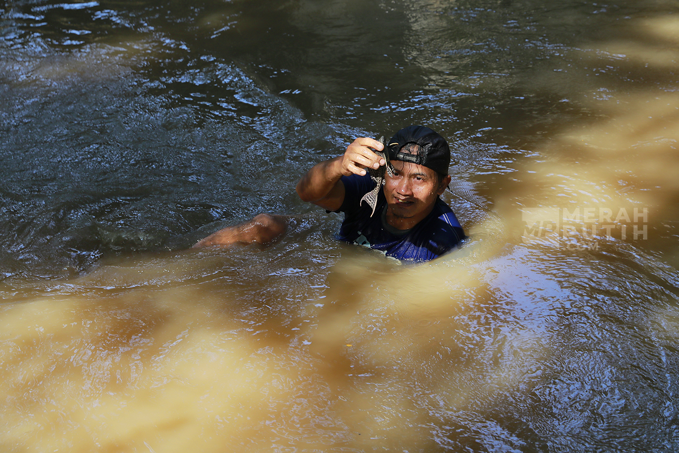 Pakar Lingkungan UI Ungkap Alasan Mengapa Ikan Sapu-Sapu Harus Segera Dikendalikan
