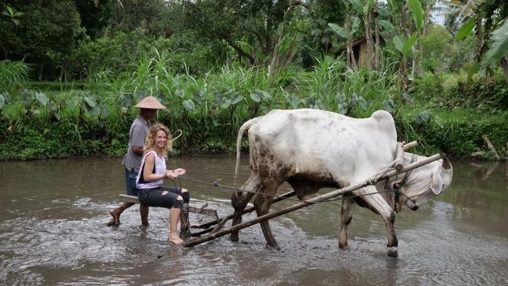 Global Green Destinations Days, Memasukan 4 Desa Wisata di Indonesia dalam Programnya