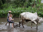 Global Green Destinations Days, Memasukan 4 Desa Wisata di Indonesia dalam Programnya