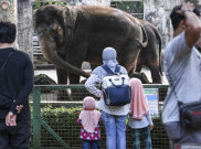 Kebun Binatang Ragunan Kembali Dibuka Sabtu, Khusus untuk Warga Jakarta