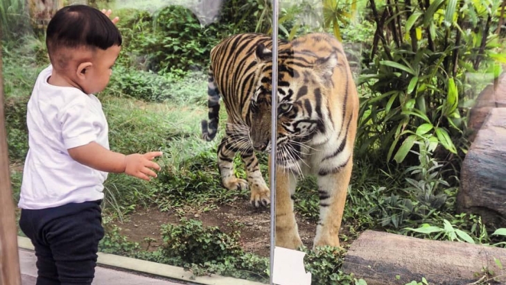 Syarat Anak-anak Masuk Kebun Binatang Gembira Loka