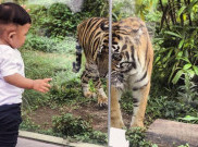 Syarat Anak-anak Masuk Kebun Binatang Gembira Loka