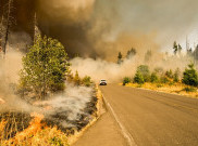 California Kerahkan AI untuk Deteksi Kebakaran Hutan 