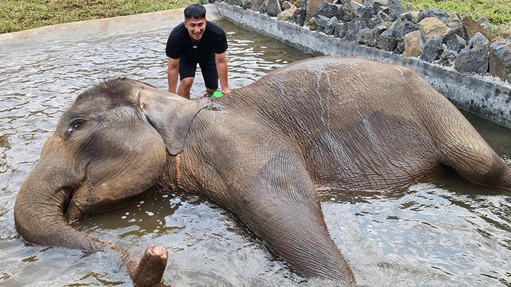 Cerita Irfan Hakim Merawat Binatang hingga Membangun Aviary