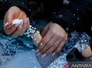 Senegal Kecam Unggahan Rekrutmen Sukarelawan Perang dari Kedubes Ukraina